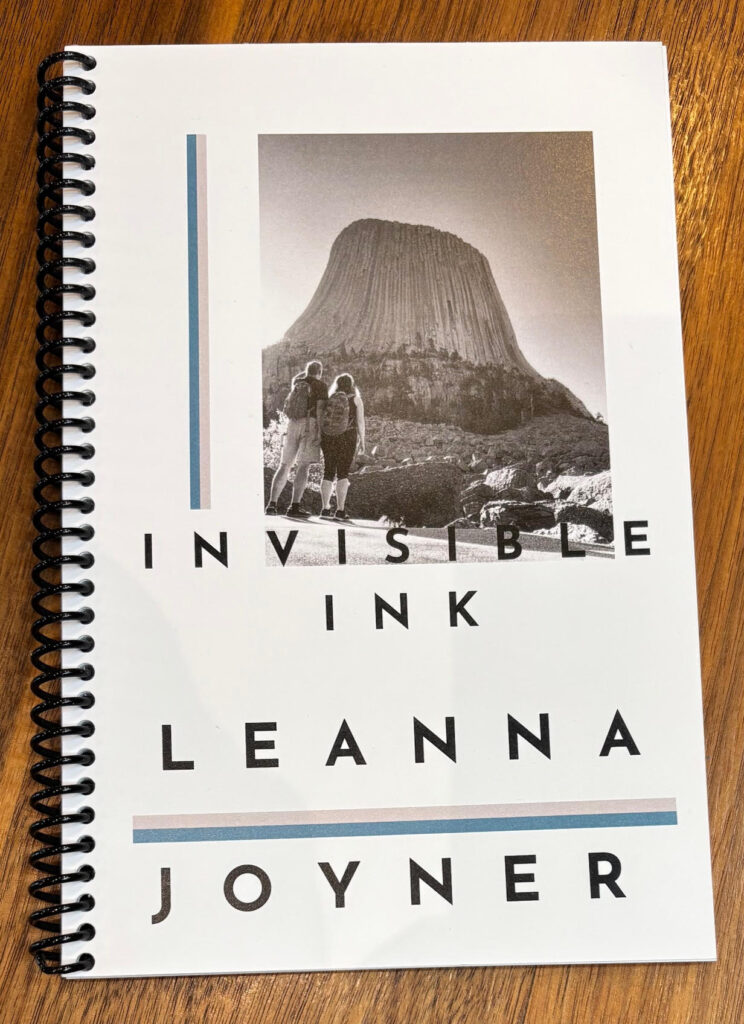 Cover of Invisible Ink